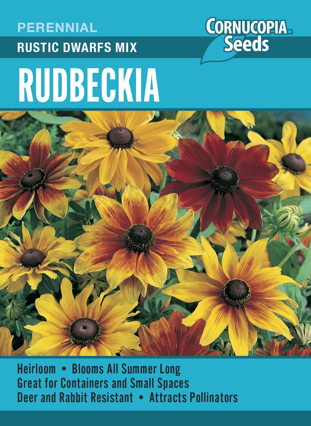 Visuel officiel de Cornucopia associé aux semences de Rudbeckie Rustic Dwarfs, référence CS412. Ce mélange peut être commencé à l’intérieur avant son installation au jardin. Les jeunes plants demandent une bonne lumière et une humidité régulière. Le semencier recommande un sol fertile et drainé au soleil. Cette image accompagne la fiche de cette sélection et permet de repérer le produit correspondant dans le catalogue de semences.