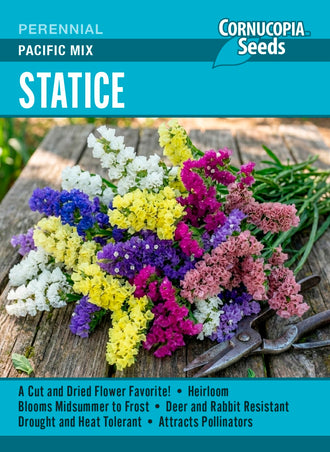 Visuel officiel de Cornucopia associé aux semences de Statice Pacific Mix, référence CS413. Ce mélange peut être commencé à l’intérieur puis installé dans un sol fertile et drainé. Pour le séchage, les tiges sont coupées lorsque les fleurs sont ouvertes, puis suspendues dans un endroit ombragé et ventilé. Cette image accompagne la fiche de cette sélection et permet de repérer le produit correspondant dans le catalogue de semences.