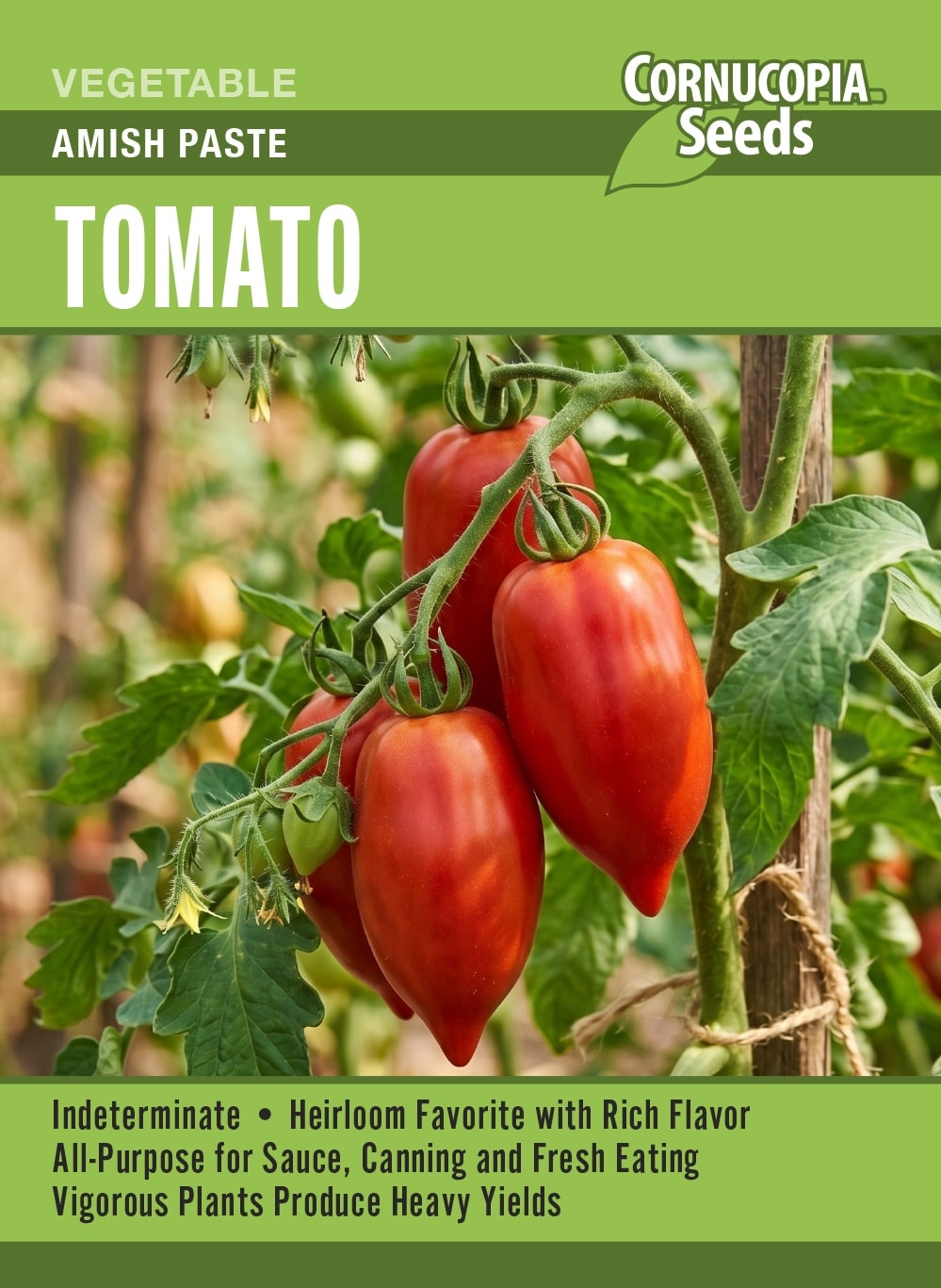 Visuel officiel de Cornucopia associé aux semences de Tomate ‘Amish Paste’, référence CS415. Cette tomate se commence à l’intérieur avant son installation au jardin par temps doux. Le semencier recommande de grandes cages solides et un arrosage régulier. Les fruits se cueillent lorsqu’ils sont colorés et légèrement souples. Cette image accompagne la fiche de cette sélection et permet de repérer le produit correspondant dans le catalogue de semences.