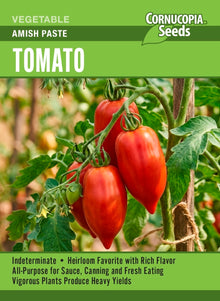 Visuel officiel de Cornucopia associé aux semences de Tomate ‘Amish Paste’, référence CS415. Cette tomate se commence à l’intérieur avant son installation au jardin par temps doux. Le semencier recommande de grandes cages solides et un arrosage régulier. Les fruits se cueillent lorsqu’ils sont colorés et légèrement souples. Cette image accompagne la fiche de cette sélection et permet de repérer le produit correspondant dans le catalogue de semences.