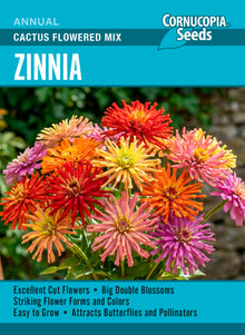 Visuel officiel de Cornucopia associé aux semences de Zinnia cactus Cactus Flowered Mix, référence CS417. Ce mélange de zinnias de type cactus peut être commencé à l’intérieur ou semé directement lorsque les nuits sont douces. Les fleurs se coupent à mesure de leur ouverture. La suppression des fleurs fanées favorise le renouvellement de la floraison.