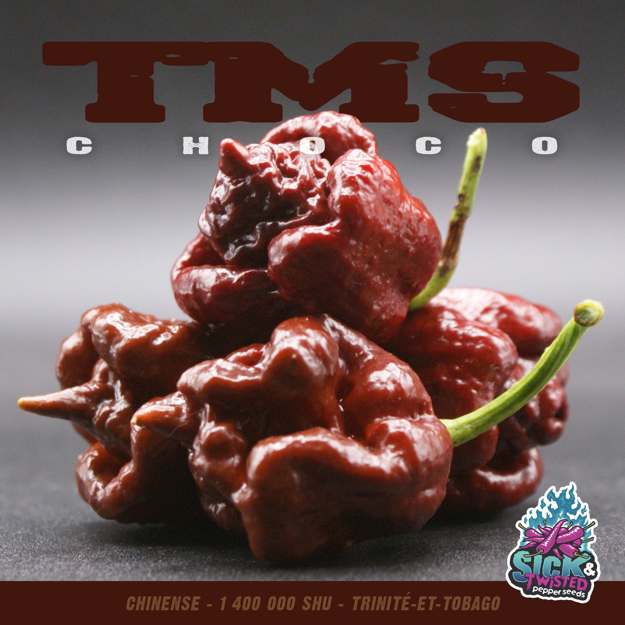 Scorpion Choco hot pepper (<em>Capsicum chinense</em> ‘Scorpion Choco’)