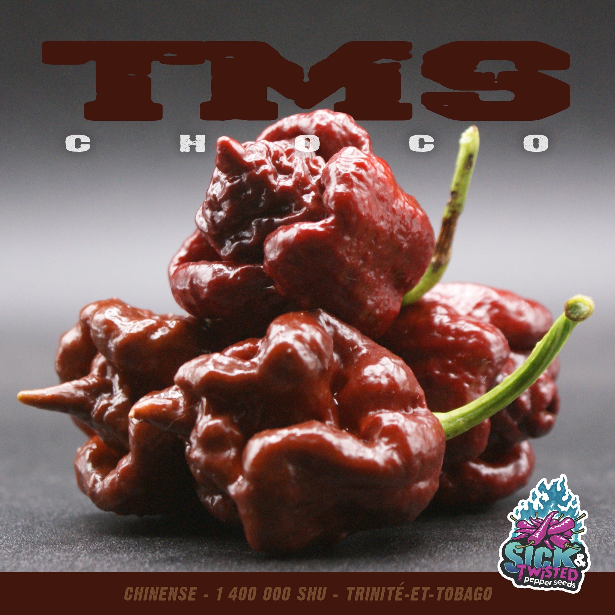 Scorpion Choco hot pepper (<em>Capsicum chinense</em> ‘Scorpion Choco’)