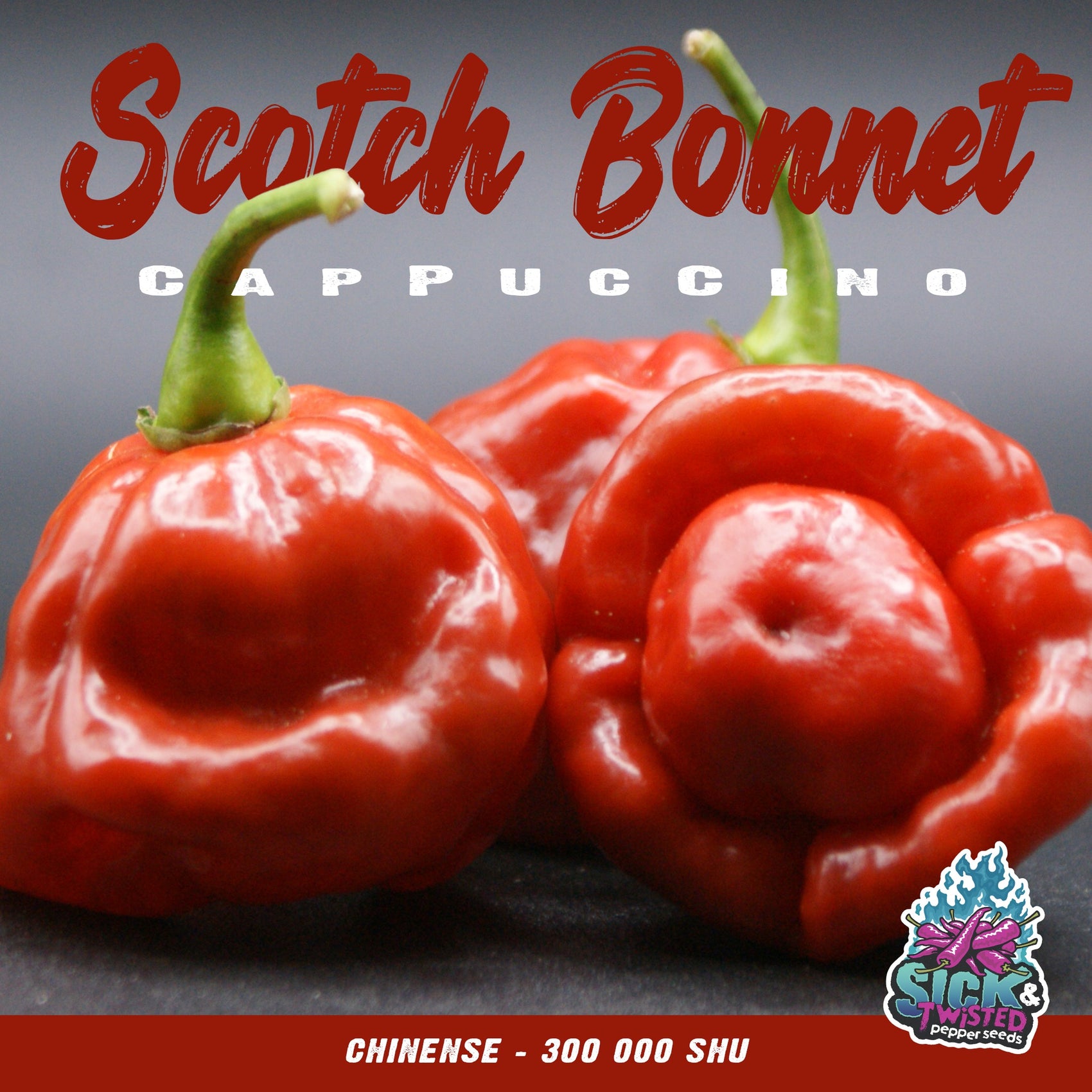 Scotch Bonnet Cappuccino hot pepper (<em>Capsicum chinense</em> ‘Scotch Bonnet Cappuccino’)