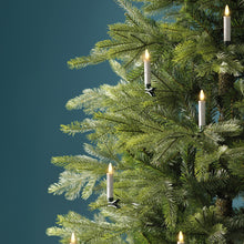 Ensemble de 10 bougies LED pour sapin – Blanc