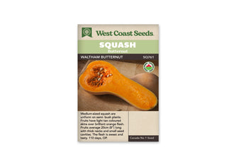 Sachet beige de semences Waltham Butternut avec bandeau vert pâle, nom sur fond brun et mention biologique. Une moitié de courge repose sur une planche de bois. Elle montre une chair orange épaisse, un long col plein et une cavité à graines dans la base renflée. Un fruit beige entier apparaît partiellement derrière.