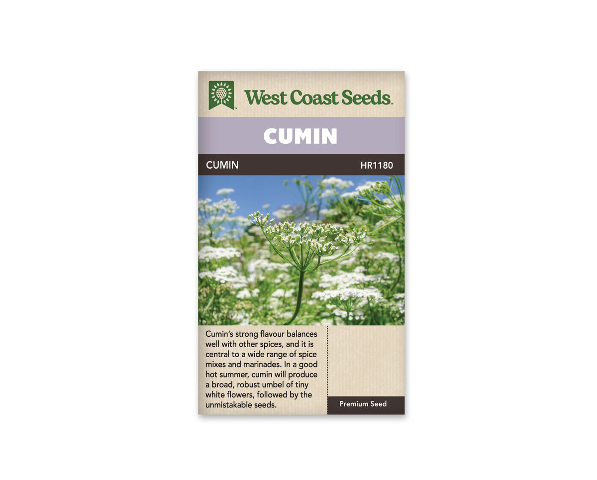 Sachet de cumin West Coast Seeds présenté de face sur fond blanc. La photographie montre de fines tiges vertes portant de petites ombelles blanches, avec un ciel bleu en arrière-plan. Le bandeau mauve porte le nom CUMIN. La partie beige sous le bandeau contient une description en anglais et le nom botanique de la plante.