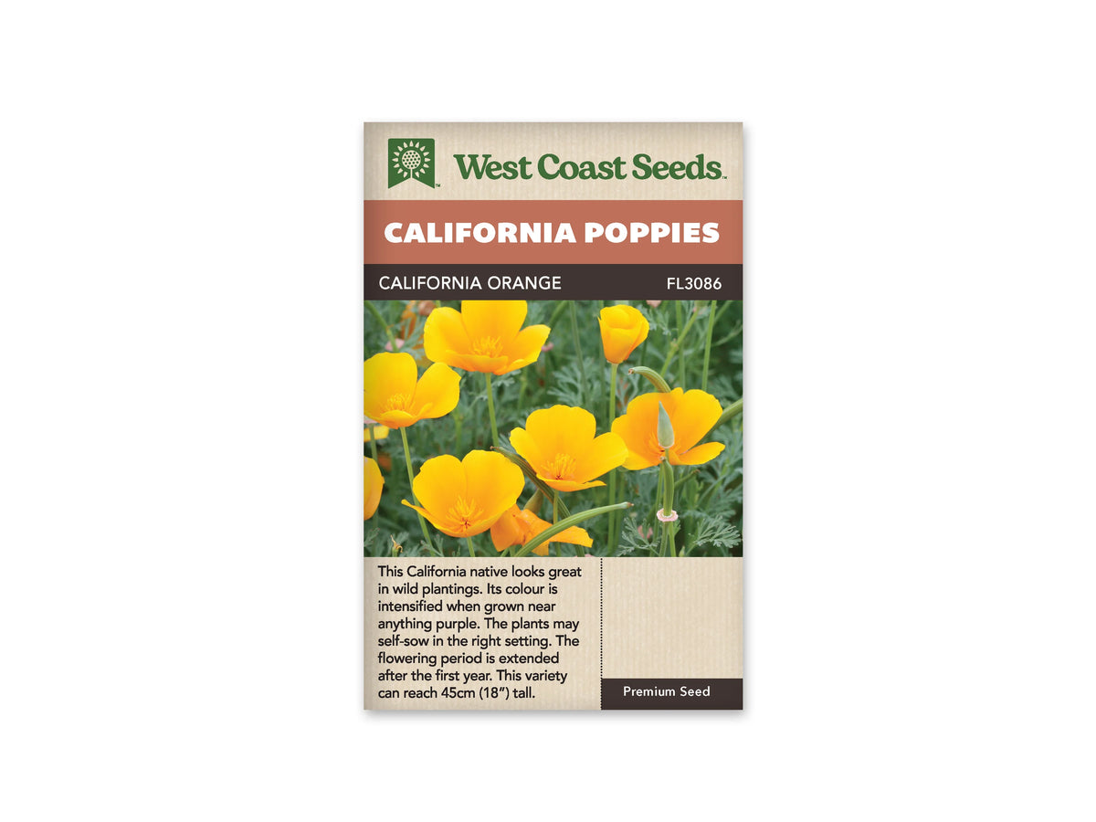 Sachet California Orange de West Coast Seeds sur fond blanc. La photo montre des fleurs simples orange doré en coupe, avec des étamines jaunes visibles au centre. Des boutons pointus et de longues capsules vertes se dressent parmi le feuillage découpé. Le bandeau orange indique California Poppies et la bande brune porte California Orange, code FL3086.