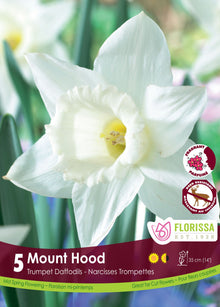 Narcisse ‘Mount Hood’ ( Narcissus ) : un narcisse blanc à grande trompette blanche. Le visuel Florissa présente la plante et son nom dans la partie inférieure de l’étiquette. La photographie occupe presque toute la surface, tandis que le bandeau du bas rassemble les indications du produit. Cette vue permet de reconnaître son apparence et de distinguer la variété présentée.