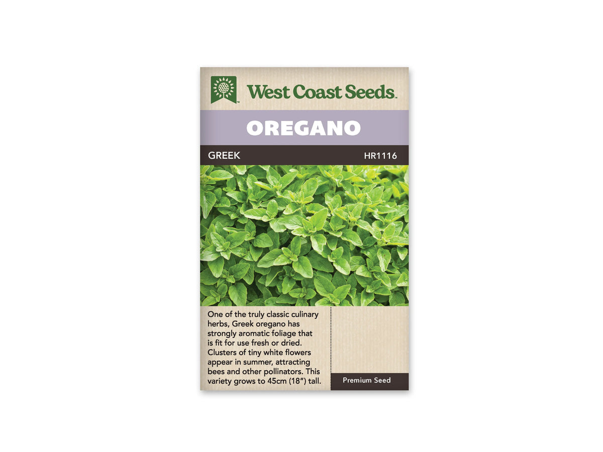 Sachet d’origan grec West Coast Seeds présenté de face sur fond blanc. La photographie montre un feuillage vert dense, avec de petites feuilles ovales rapprochées sur des tiges fines. Le bandeau mauve porte le mot OREGANO, et GREEK apparaît sur la bande foncée. Une description en anglais occupe la partie beige inférieure du sachet.