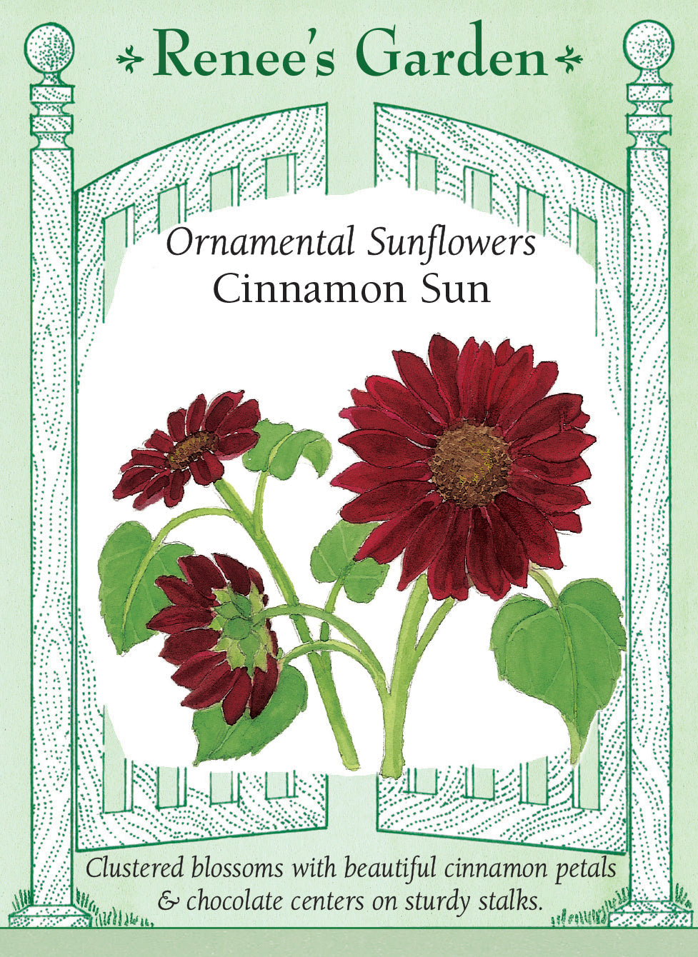 Visuel officiel de Renee's Garden associé aux semences de Tournesol ‘Cinnamon Sun’, référence RN5000. Les fleurs d’environ 13 à 15 cm (5 à 6 po) portent des pétales bronze cannelle autour d’un centre chocolat. Les tiges robustes produisent plusieurs fleurs. Après la floraison, les capitules mûrs peuvent fournir des graines aux oiseaux.