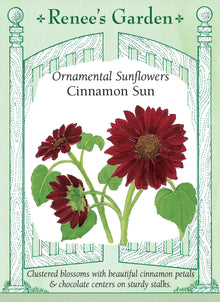 Visuel officiel de Renee's Garden associé aux semences de Tournesol ‘Cinnamon Sun’, référence RN5000. Les fleurs d’environ 13 à 15 cm (5 à 6 po) portent des pétales bronze cannelle autour d’un centre chocolat. Les tiges robustes produisent plusieurs fleurs. Après la floraison, les capitules mûrs peuvent fournir des graines aux oiseaux.