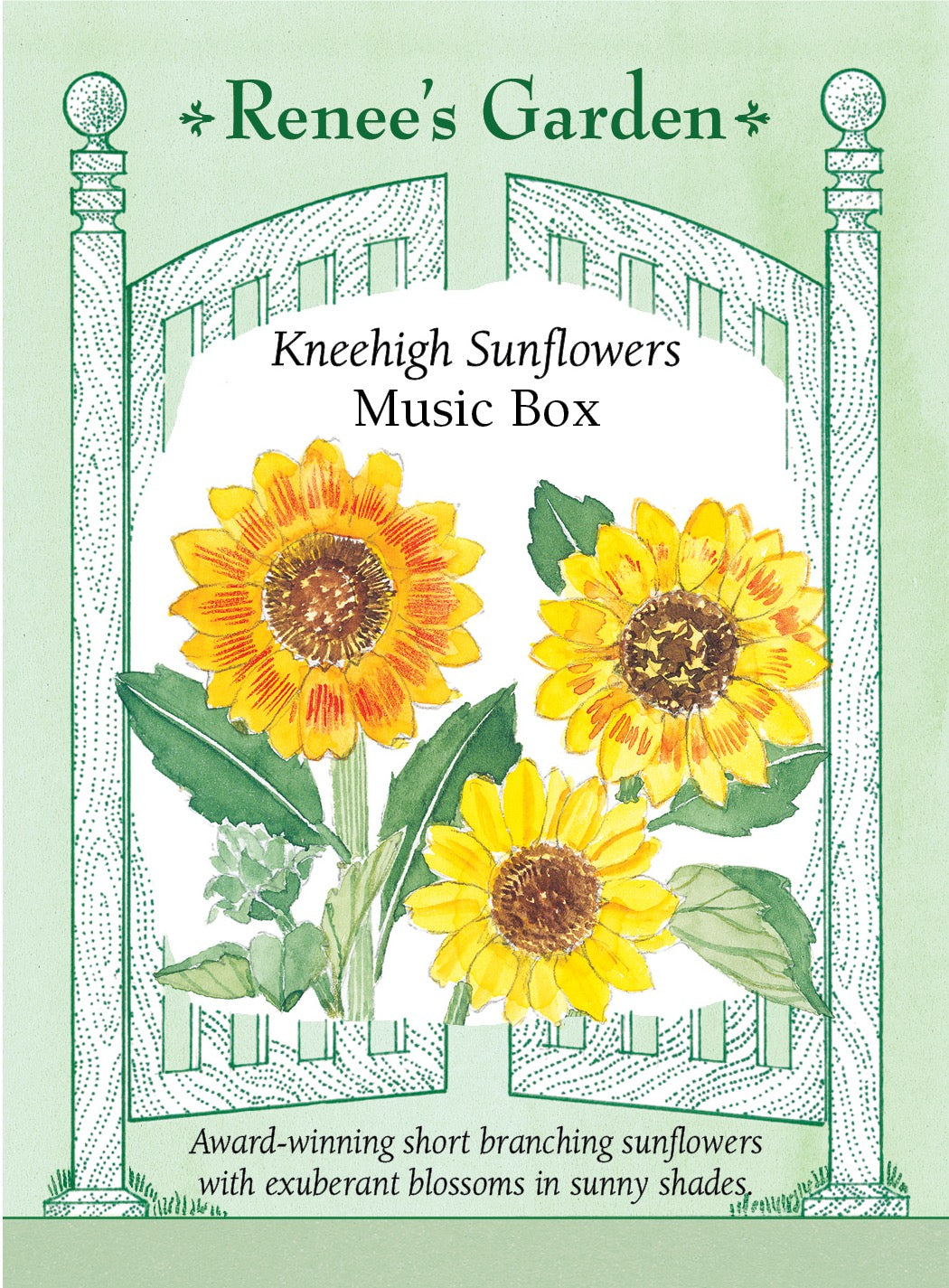 Visuel officiel de Renee's Garden associé aux semences de Tournesols en mélange Music Box, référence RN5001. Les plantes courtes et ramifiées portent des fleurs d’environ 10 à 13 cm (4 à 5 po). Ce mélange comprend du jaune, du doré, du crème et des fleurs bronze et or. Les centres chocolat soulignent les pétales colorés.