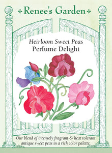 Visuel officiel de Renee's Garden associé aux semences de Pois de senteur en mélange Perfume Delight, référence RN5020. Ce mélange de variétés anciennes parfumées comprend du rose, du rose pâle, du lavande, du pourpre, du cramoisi et du blanc, avec plusieurs fleurs bicolores. Les plantes grimpantes sont sélectionnées pour mieux tolérer la chaleur.