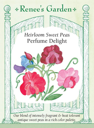 Visuel officiel de Renee's Garden associé aux semences de Pois de senteur en mélange Perfume Delight, référence RN5020. Ce mélange de variétés anciennes parfumées comprend du rose, du rose pâle, du lavande, du pourpre, du cramoisi et du blanc, avec plusieurs fleurs bicolores. Les plantes grimpantes sont sélectionnées pour mieux tolérer la chaleur.