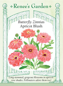 Visuel officiel de Renee's Garden associé aux semences de Zinnia ‘Apricot Blush’, référence RN5023. Les fleurs doubles présentent des nuances d’abricot rosé et de saumon. Les plantes ramifiées atteignent environ 1,1 m (3½ pi) et produisent de longues tiges pour la coupe. Cette sélection appartient à la série Benary’s Giant.