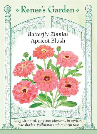 Visuel officiel de Renee's Garden associé aux semences de Zinnia ‘Apricot Blush’, référence RN5023. Les fleurs doubles présentent des nuances d’abricot rosé et de saumon. Les plantes ramifiées atteignent environ 1,1 m (3½ pi) et produisent de longues tiges pour la coupe. Cette sélection appartient à la série Benary’s Giant.