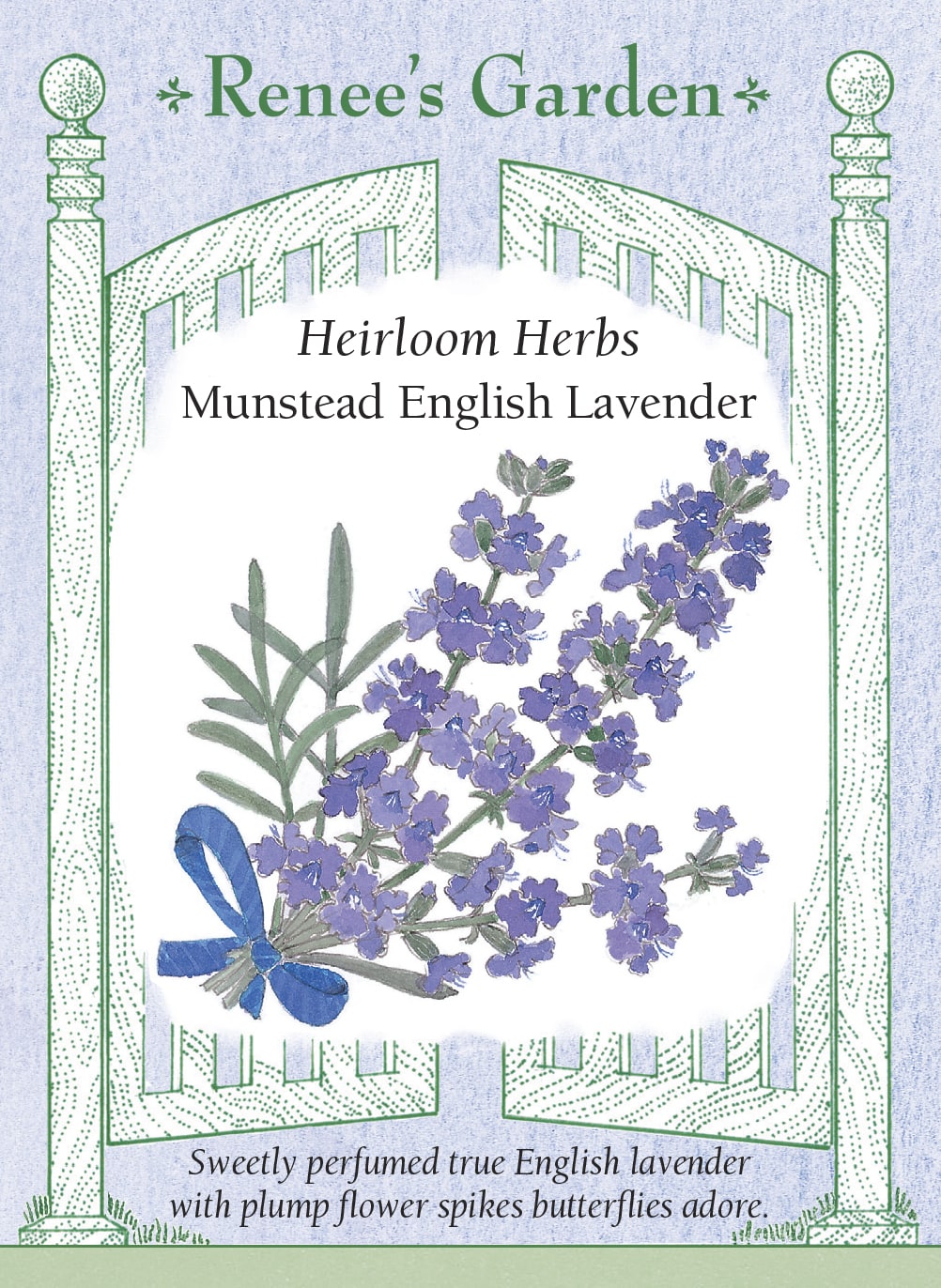 Visuel officiel de Renee's Garden associé aux semences de Lavande ‘Munstead’, référence RN5026. Cette lavande anglaise forme des touffes gris-vert d’environ 45 à 60 cm (1,5 à 2 pi). Les épis bleu lavande sont parfumés. Le semencier la propose pour les bordures et les aménagements décoratifs. Le feuillage et les fleurs apportent des textures fines, sans que leur présence suffise à confirmer une rusticité précise pour chaque jardin.