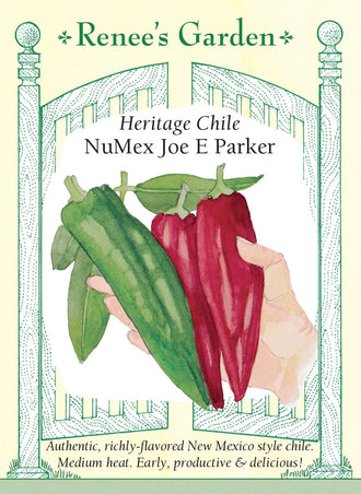 Visuel officiel de Renee's Garden pour les semences « Piment ‘NuMex Joe E. Parker’ », référence RN5028. Ce piment de type Nouveau-Mexique porte des fruits droits et charnus, longs d’environ 15 à 18 cm (6 à 7 po). Le semencier décrit une force modérée et un feuillage dense qui protège les fruits. Ils peuvent être récoltés verts ou rouges pour les sauces, les plats grillés et les préparations de piments.