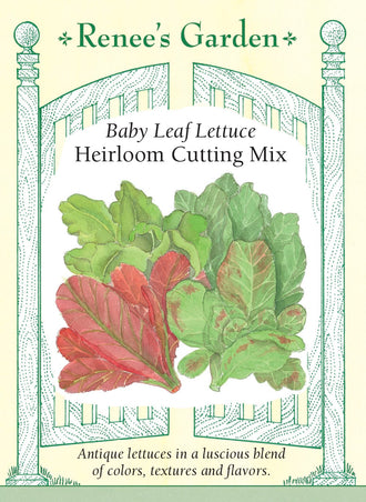 Visuel officiel de Renee's Garden pour les semences « Laitues en mélange Heirloom Cutting Mix », référence RN5029. Ce mélange rassemble ‘Troutback’, ‘Blush Butter Cos’, ‘Red Ruffled Oak’, ‘Red Devil’s Tongue’ et ‘Sucrine’. Il combine des feuilles vertes mouchetées de rouge, des feuilles rouges découpées et de petites romaines. Le semencier propose des récoltes fréquentes de jeunes feuilles. Le sachet offre donc plusieurs types de laitues dont les couleurs et les silhouettes restent distinctes.