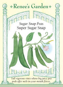 Visuel officiel de Renee's Garden pour les semences « Pois croquant ‘Super Sugar Snap’ », référence RN5030. Ce pois grimpant atteint environ 1,5 m (5 pi). Il se récolte lorsque les pois ont pris du volume, mais que les parois de la gousse demeurent épaisses, tendres et juteuses. Le semencier souligne sa vigueur et sa production. Les gousses peuvent être consommées fraîches ou cuites très brièvement.
