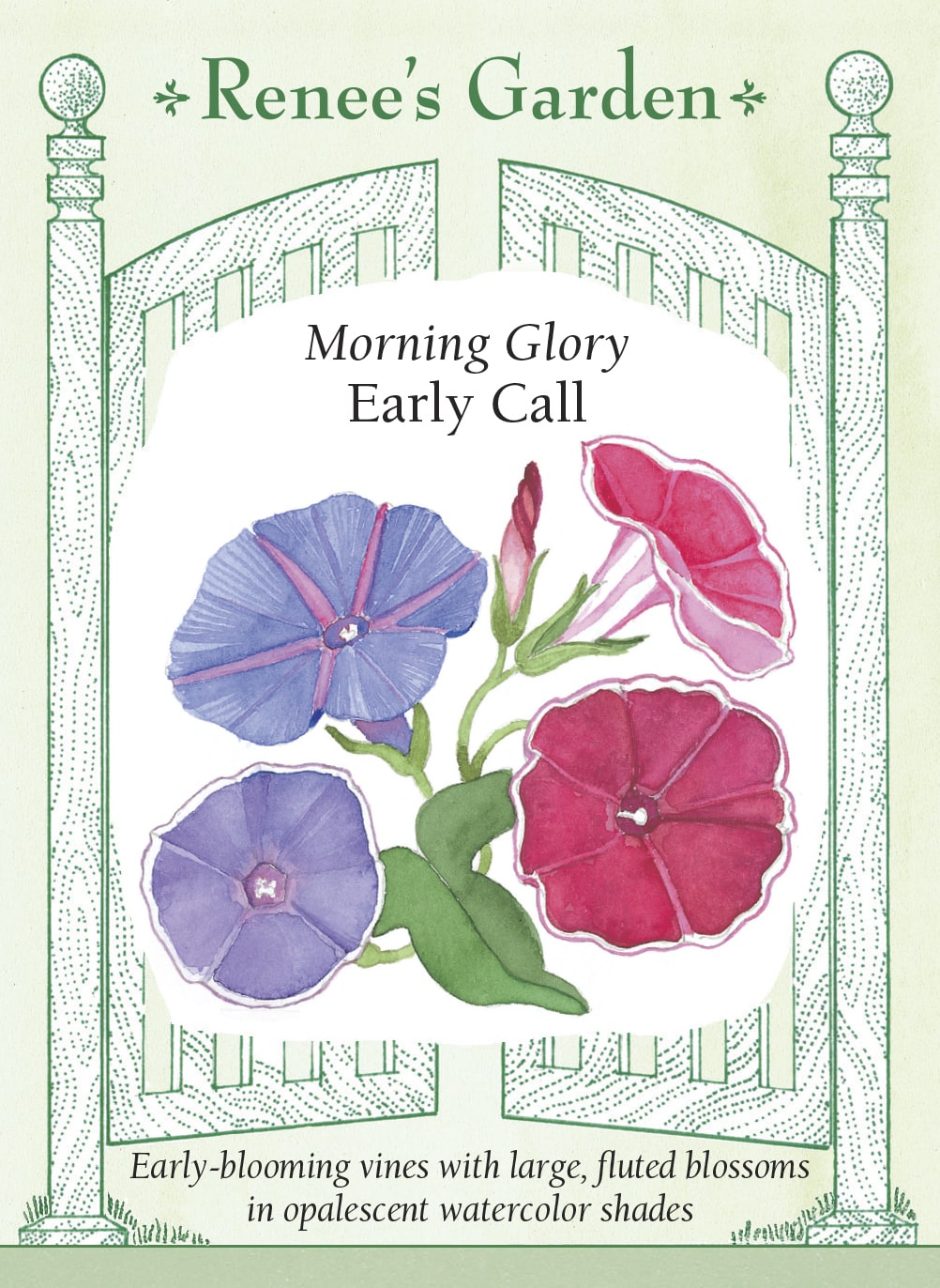 Visuel officiel de Renee's Garden associé aux semences d’ipomées en mélange Early Call, référence RN5035. Ce mélange produit de grandes fleurs d’environ 10 cm (4 po), dans plusieurs tons roses, blancs, lavande et bleus, parfois bordés de blanc. Les corolles s’ouvrent le matin. Le semencier décrit des tiges grimpantes vigoureuses et une floraison débutant durant l’été.