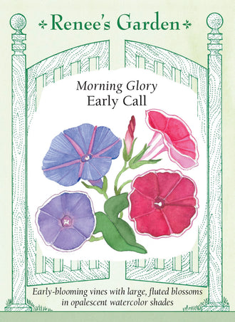 Visuel officiel de Renee's Garden associé aux semences d’ipomées en mélange Early Call, référence RN5035. Ce mélange produit de grandes fleurs d’environ 10 cm (4 po), dans plusieurs tons roses, blancs, lavande et bleus, parfois bordés de blanc. Les corolles s’ouvrent le matin. Le semencier décrit des tiges grimpantes vigoureuses et une floraison débutant durant l’été.