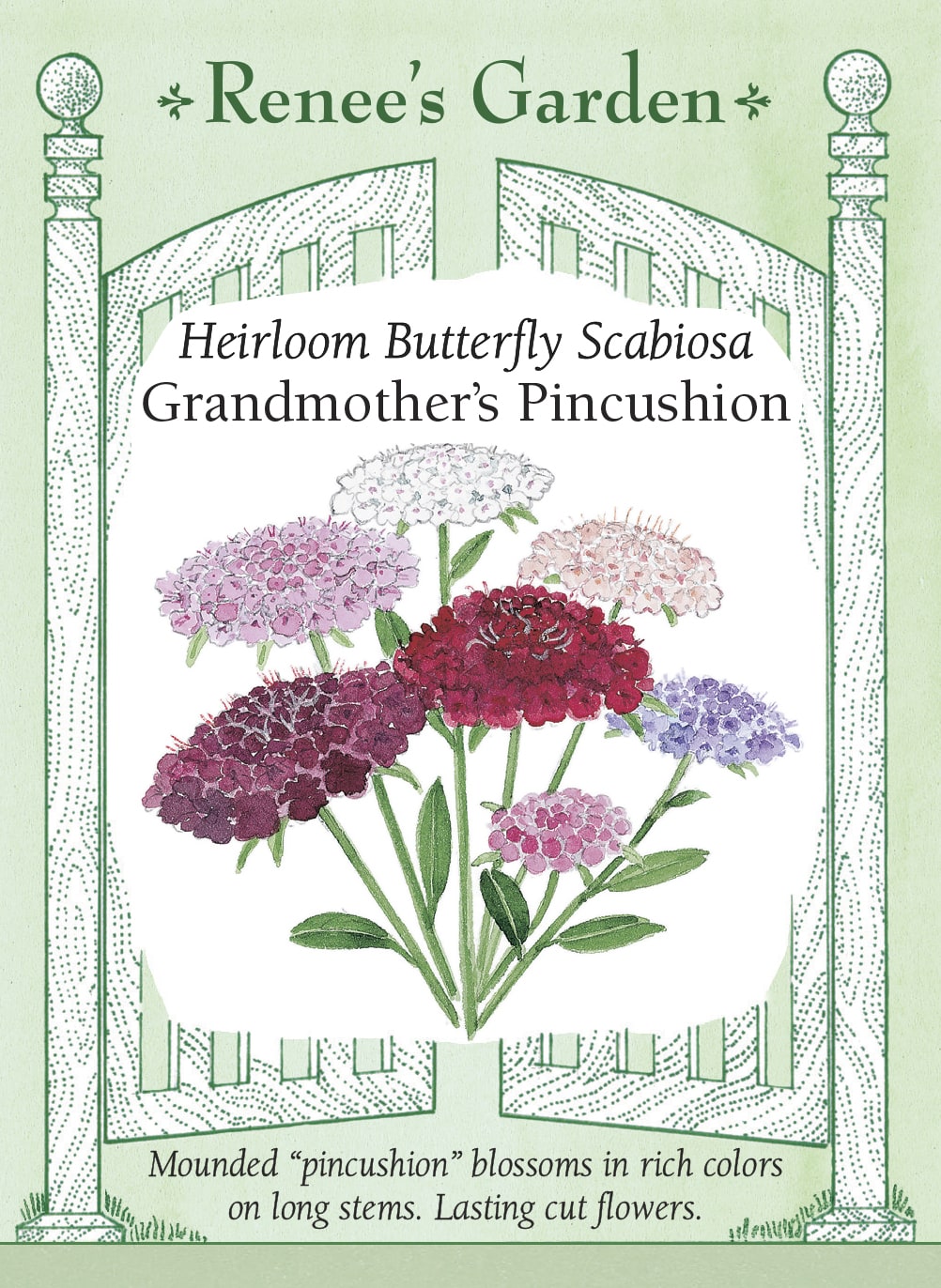 Visuel officiel de Renee's Garden associé aux semences de Scabieuses en mélange Grandmother’s Pincushion, référence RN5038. Les fleurs aux centres frangés mesurent environ 5 à 8 cm (2 à 3 po). Le mélange comprend du cramoisi, du pourpre, du saumon, du rose, du lilas et du blanc. Les longues tiges conviennent aux bouquets et les fleurs attirent les papillons.
