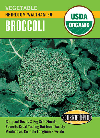 Visuel officiel de Cornucopia associé aux semences de Brocoli ‘Waltham 29’, référence CS503. Cette référence propose la variété de brocoli Waltham 29. La récolte porte sur les inflorescences encore fermées, au stade où elles conservent une texture tendre. Cette image accompagne la fiche de cette sélection et permet de repérer le produit correspondant dans le catalogue de semences.