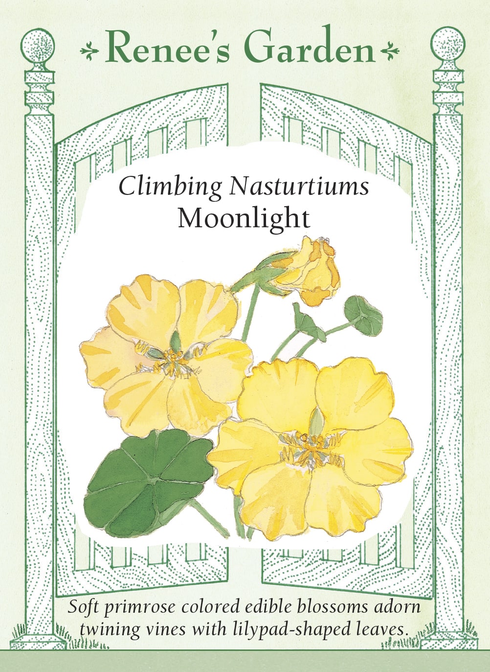 Visuel officiel de Renee's Garden associé aux semences de Capucine ‘Moonlight’, référence RN5040. Cette capucine grimpante porte des fleurs jaune primevère et un feuillage vert clair. Ses tiges peuvent couvrir un support ou retomber librement. Les fleurs à long éperon et les feuilles sont comestibles, avec une saveur poivrée rappelant celle du cresson.