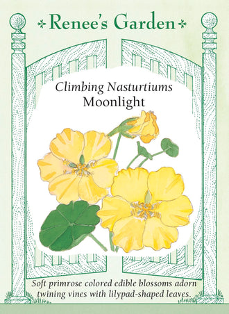 Visuel officiel de Renee's Garden associé aux semences de Capucine ‘Moonlight’, référence RN5040. Cette capucine grimpante porte des fleurs jaune primevère et un feuillage vert clair. Ses tiges peuvent couvrir un support ou retomber librement. Les fleurs à long éperon et les feuilles sont comestibles, avec une saveur poivrée rappelant celle du cresson.