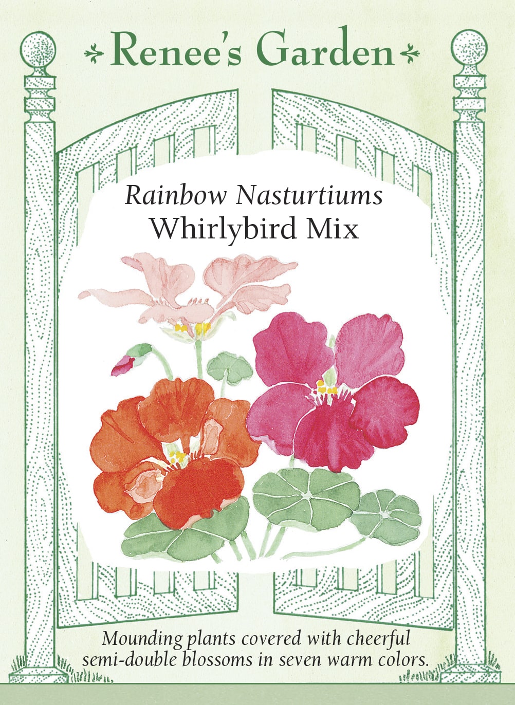 Visuel officiel de Renee's Garden associé aux semences de Capucines en mélange Whirlybird, référence RN5042. Les fleurs semi-doubles tournées vers le haut mesurent environ 6 cm (2½ po). Le mélange comprend des tons de rose cerise, de crème, de pêche, d’orange, d’acajou, de rouge et d’or. Les feuilles arrondies et les fleurs sont comestibles.