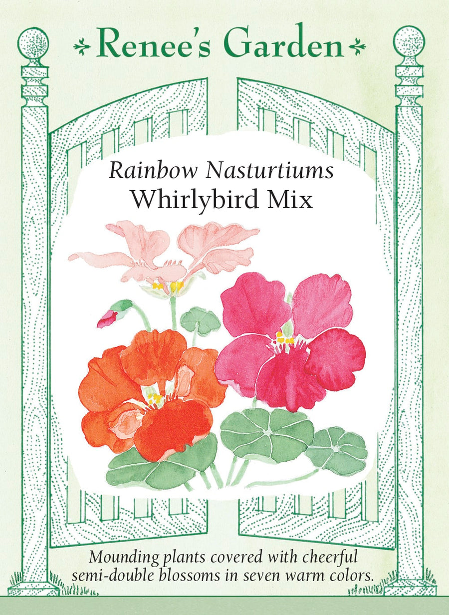 Visuel officiel de Renee's Garden associé aux semences de Capucines en mélange Whirlybird, référence RN5042. Les fleurs semi-doubles tournées vers le haut mesurent environ 6 cm (2½ po). Le mélange comprend des tons de rose cerise, de crème, de pêche, d’orange, d’acajou, de rouge et d’or. Les feuilles arrondies et les fleurs sont comestibles.