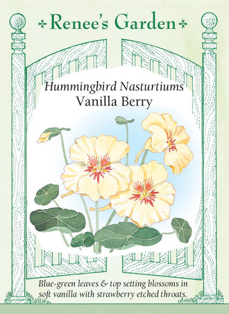 Visuel officiel de Renee's Garden associé aux semences de Capucine ‘Vanilla Berry’, référence RN5045. Les fleurs crème présentent de délicates marques rouge fraise dans la gorge. Elles dominent un feuillage bleu-vert et sont visitées par les colibris. Le port souple convient aux jardinières et aux bordures; les fleurs comestibles ajoutent une note poivrée aux plats.