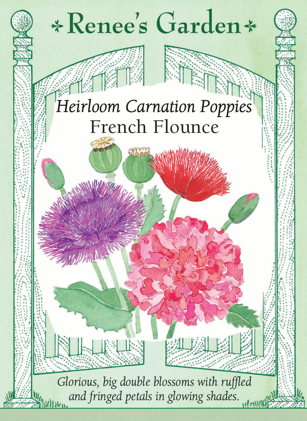 Visuel officiel de Renee's Garden associé aux semences de Pavots doubles en mélange French Flounce, référence RN5046. Ce mélange de pavots doubles réunit des formes à pétales frangés et des formes rappelant les pivoines. Les fleurs présentent des tons rouges, roses, saumon, violets et blancs. Les grandes corolles portées sur des tiges dressées donnent du relief aux massifs.