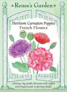 Visuel officiel de Renee's Garden associé aux semences de Pavots doubles en mélange French Flounce, référence RN5046. Ce mélange de pavots doubles réunit des formes à pétales frangés et des formes rappelant les pivoines. Les fleurs présentent des tons rouges, roses, saumon, violets et blancs. Les grandes corolles portées sur des tiges dressées donnent du relief aux massifs.