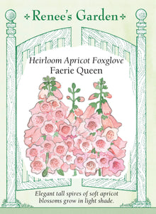 Visuel officiel de Renee's Garden associé aux semences de Digitale ‘Faerie Queen’, référence RN5047. Cette digitale porte de longues hampes garnies de clochettes abricot, dont la gorge crème est ponctuée de petites marques. Le feuillage forme une rosette à la base. Le semencier recommande une lumière filtrée. Toutes les parties de cette plante sont toxiques si elles sont ingérées; elle est destinée à l’ornement.