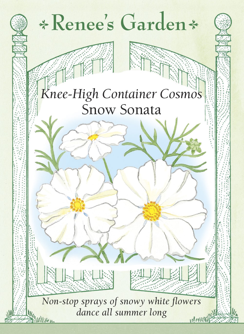 Visuel officiel de Renee's Garden associé aux semences de Cosmos ‘Snow Sonata’, référence RN5048. Ce cosmos compact reste sous environ 60 cm (2 pi), selon le semencier. Les fleurs blanches de 5 à 8 cm (2 à 3 po) possèdent un centre jaune doré. Les tiges ramifiées dominent un feuillage fin. La sélection convient aux pots, aux bordures et aux petits bouquets.