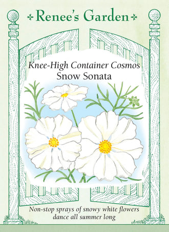 Visuel officiel de Renee's Garden associé aux semences de Cosmos ‘Snow Sonata’, référence RN5048. Ce cosmos compact reste sous environ 60 cm (2 pi), selon le semencier. Les fleurs blanches de 5 à 8 cm (2 à 3 po) possèdent un centre jaune doré. Les tiges ramifiées dominent un feuillage fin. La sélection convient aux pots, aux bordures et aux petits bouquets.