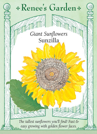Visuel officiel de Renee's Garden associé aux semences de Tournesol géant ‘Sunzilla’, référence RN5051. Les plantes vigoureuses atteignent environ 3,7 à 4,9 m (12 à 16 pi) et portent de grandes fleurs dorées. Leur hauteur permet de créer un écran végétal saisonnier. Les capitules laissés à maturité offrent de grosses graines aux oiseaux.