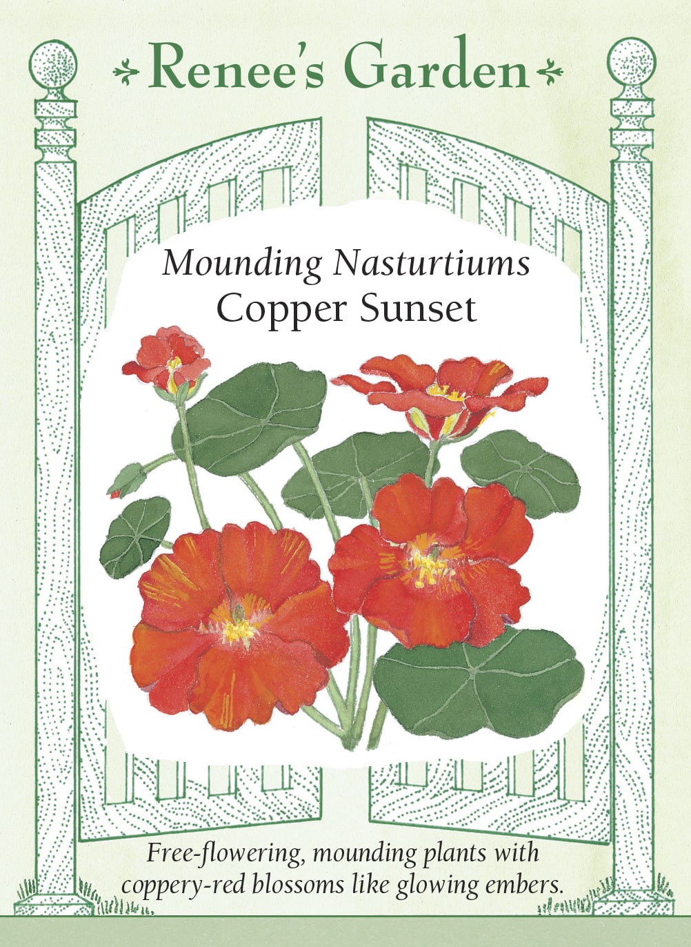 Visuel officiel de Renee's Garden associé aux semences de Capucine ‘Copper Sunset’, référence RN5052. Les fleurs semi-doubles dépourvues d’éperon présentent des nuances de rouge cuivré. Elles se détachent sur des feuilles rondes vert foncé et attirent les colibris. Les feuilles et les fleurs comestibles apportent une note piquante aux salades, aux sandwichs et aux garnitures.