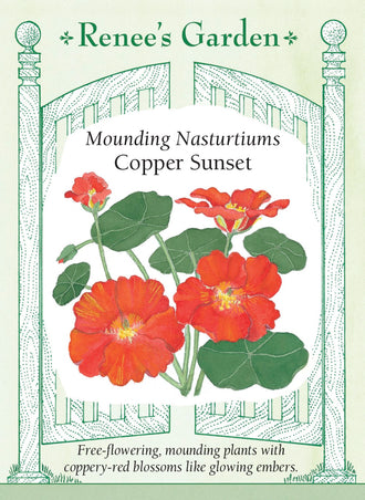 Visuel officiel de Renee's Garden associé aux semences de Capucine ‘Copper Sunset’, référence RN5052. Les fleurs semi-doubles dépourvues d’éperon présentent des nuances de rouge cuivré. Elles se détachent sur des feuilles rondes vert foncé et attirent les colibris. Les feuilles et les fleurs comestibles apportent une note piquante aux salades, aux sandwichs et aux garnitures.