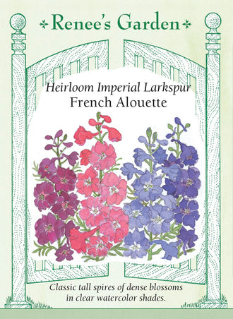 Visuel officiel de Renee's Garden associé aux semences de Pieds-d’alouette en mélange French Alouette, référence RN5053. Ce mélange annuel produit des hampes de 90 à 120 cm (3 à 4 pi), garnies de fleurs doubles saumon, pourpres, lilas, roses et blanches. Le semencier les propose pour les bouquets frais ou secs. Toutes les parties sont signalées comme toxiques si elles sont ingérées.