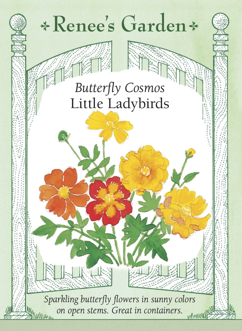 Visuel officiel de Renee's Garden associé aux semences de Cosmos en mélange Little Ladybirds, référence RN5056. Ce mélange de cosmos soufrés produit des fleurs semi-doubles orange, jaunes et écarlates. Les plants sont courts, ramifiés et étalés. Le semencier les propose pour les pots, les bordures et les plates-bandes estivales. Les couleurs sont vives et chaudes, plutôt que pastel.