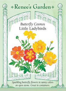 Visuel officiel de Renee's Garden associé aux semences de Cosmos en mélange Little Ladybirds, référence RN5056. Ce mélange de cosmos soufrés produit des fleurs semi-doubles orange, jaunes et écarlates. Les plants sont courts, ramifiés et étalés. Le semencier les propose pour les pots, les bordures et les plates-bandes estivales. Les couleurs sont vives et chaudes, plutôt que pastel.