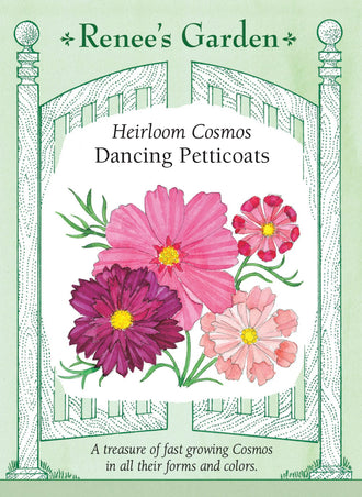 Visuel officiel de Renee's Garden associé aux semences de Cosmos en mélange Dancing Petticoats, référence RN5058. Ce mélange associe les types Seashells, Psyche et Versailles. Il réunit des pétales tubulaires, des formes semi-doubles et des fleurs ouvertes, dans des tons roses, magenta et blancs. Le feuillage est finement découpé. Le semencier propose ces cosmos pour les plates-bandes souples et les bouquets.