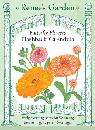 Visuel officiel de Renee's Garden associé aux semences de Calendules en mélange Flashback, référence RN5062. Ce mélange porte des fleurs semi-doubles de 5 à 8 cm (2 à 3 po), dans des tons orange, abricot, pêche et crème. Plusieurs pétales présentent un revers rouge foncé. Le semencier décrit des plants ramifiés et une floraison précoce. Les fleurs conviennent aux bouquets champêtres.