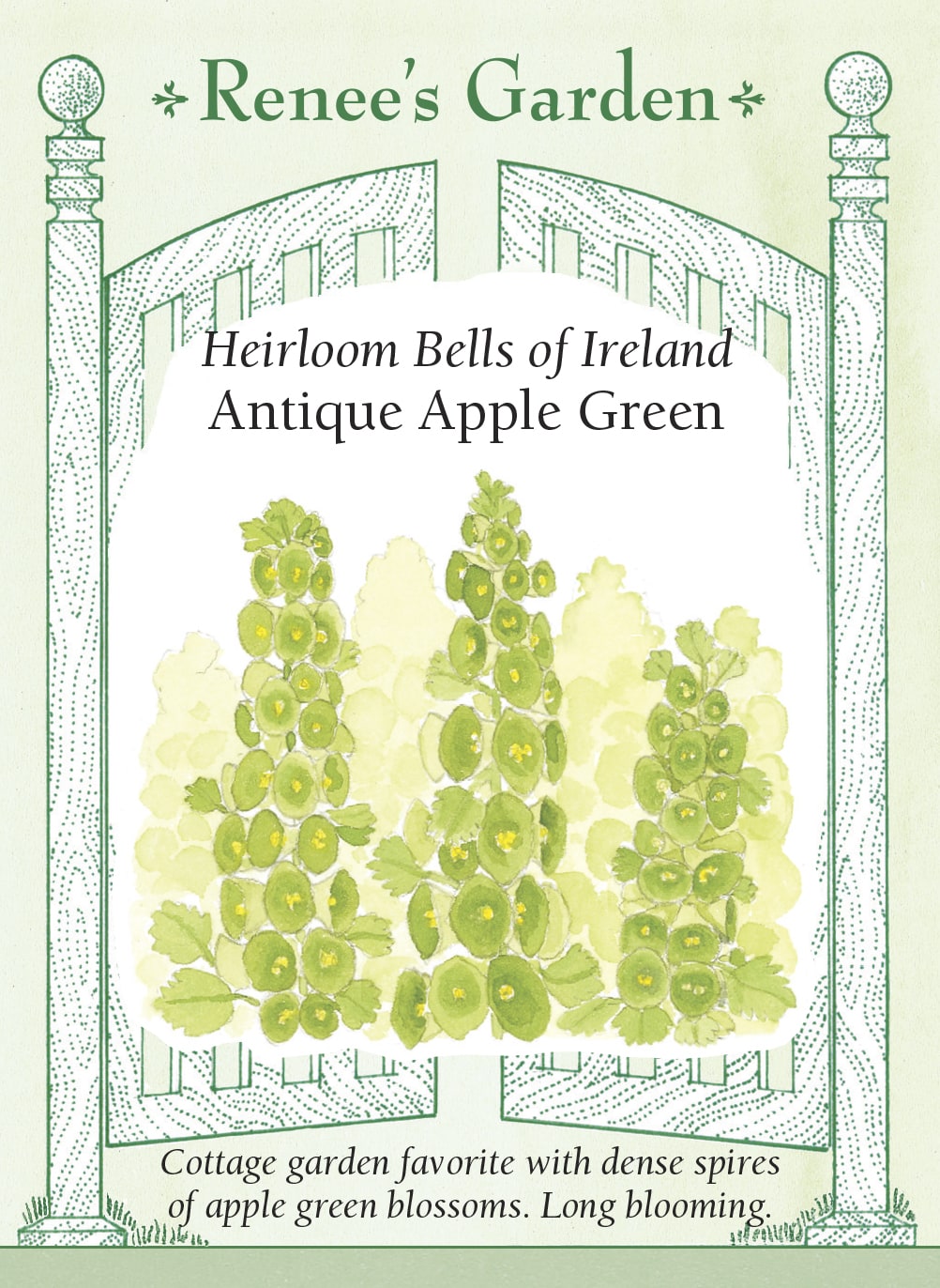 Visuel officiel de Renee's Garden associé aux semences de Clochettes d’Irlande, référence RN5064. Les longues tiges de cette plante portent des bractées vert pomme en forme de clochette, chacune entourant une petite fleur blanche. Le semencier décrit un intérêt marqué pour les bouquets frais et secs. La couleur verte permet de mettre en valeur d’autres fleurs, sans ajouter une couleur vive supplémentaire.