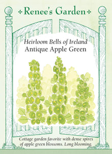 Visuel officiel de Renee's Garden associé aux semences de Clochettes d’Irlande, référence RN5064. Les longues tiges de cette plante portent des bractées vert pomme en forme de clochette, chacune entourant une petite fleur blanche. Le semencier décrit un intérêt marqué pour les bouquets frais et secs. La couleur verte permet de mettre en valeur d’autres fleurs, sans ajouter une couleur vive supplémentaire.