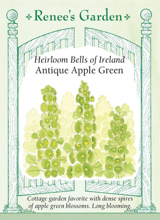 Visuel officiel de Renee's Garden associé aux semences de Clochettes d’Irlande, référence RN5064. Les longues tiges de cette plante portent des bractées vert pomme en forme de clochette, chacune entourant une petite fleur blanche. Le semencier décrit un intérêt marqué pour les bouquets frais et secs. La couleur verte permet de mettre en valeur d’autres fleurs, sans ajouter une couleur vive supplémentaire.